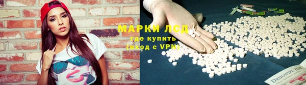 гидра Арсеньев